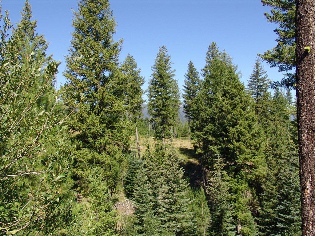 Cascade, Idaho, 83611, United States, ,Land,Forsale,1996719