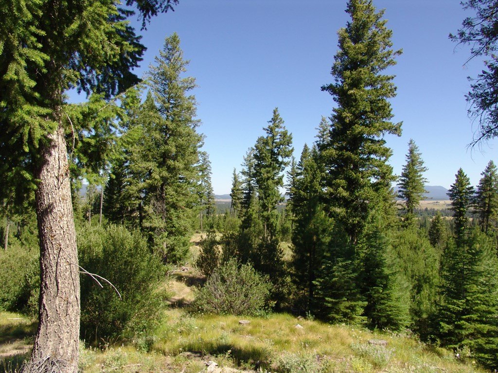 Cascade, Idaho, 83611, United States, ,Land,Forsale,1996719