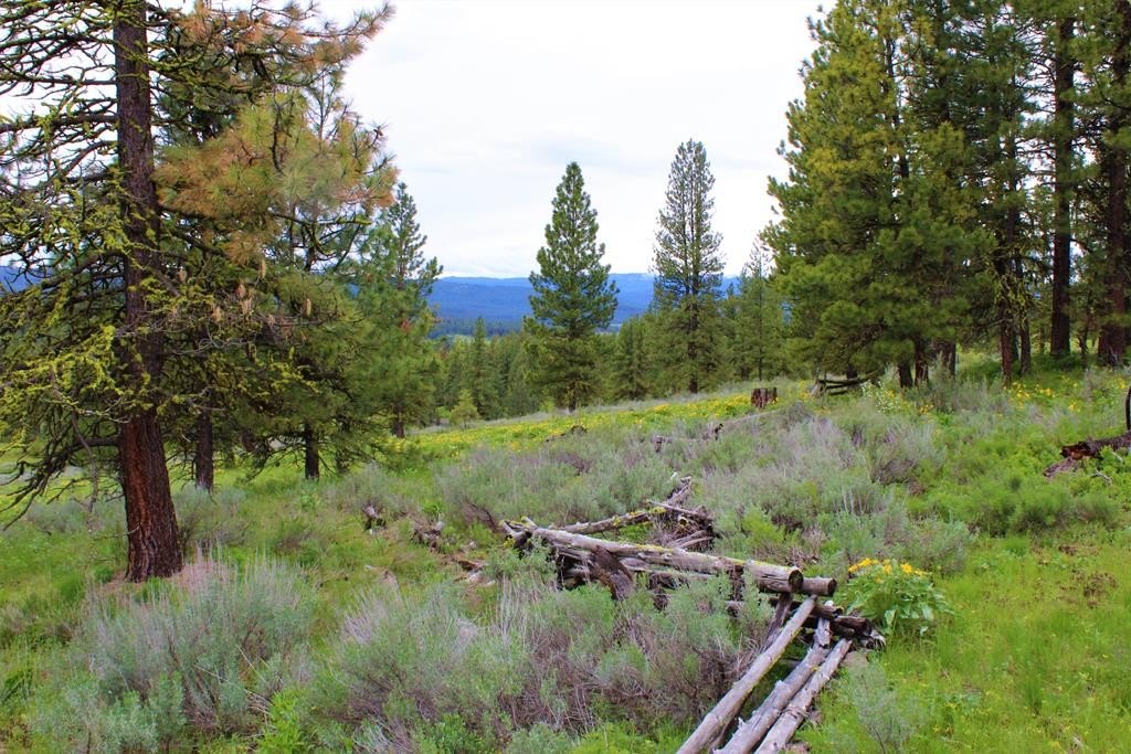 New Meadows, Idaho, 83654, United States, 2 Bedrooms Bedrooms, ,2 BathroomsBathrooms,Residential,Forsale,1889391