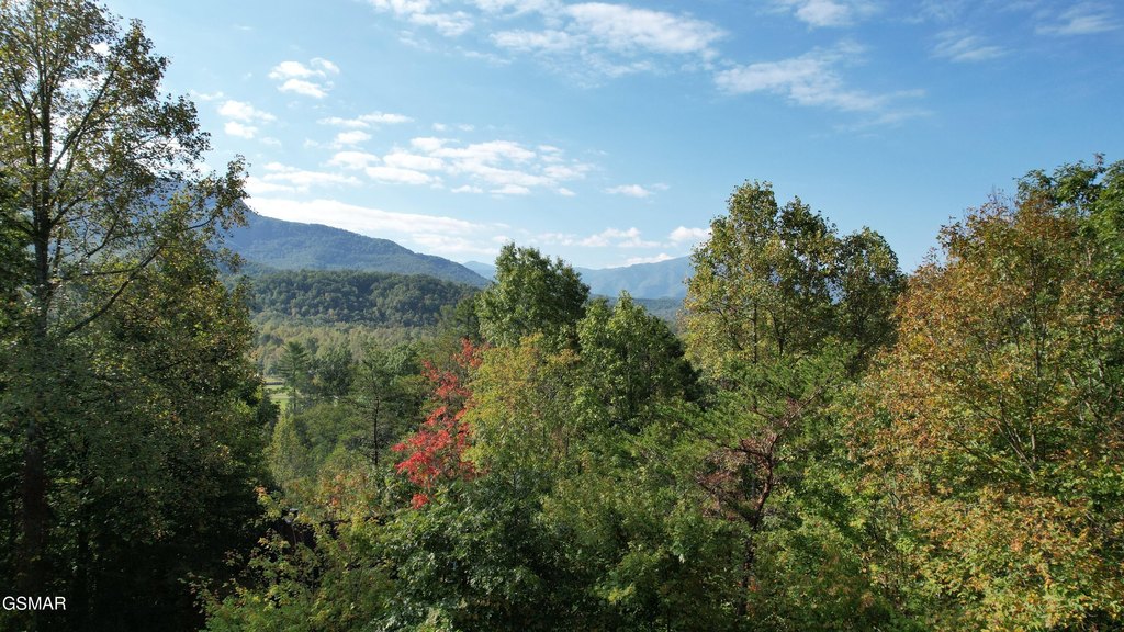 Gatlinburg, Tennessee, 37738, United States, 3 Bedrooms Bedrooms, ,3 BathroomsBathrooms,Residential,Forsale,1899765