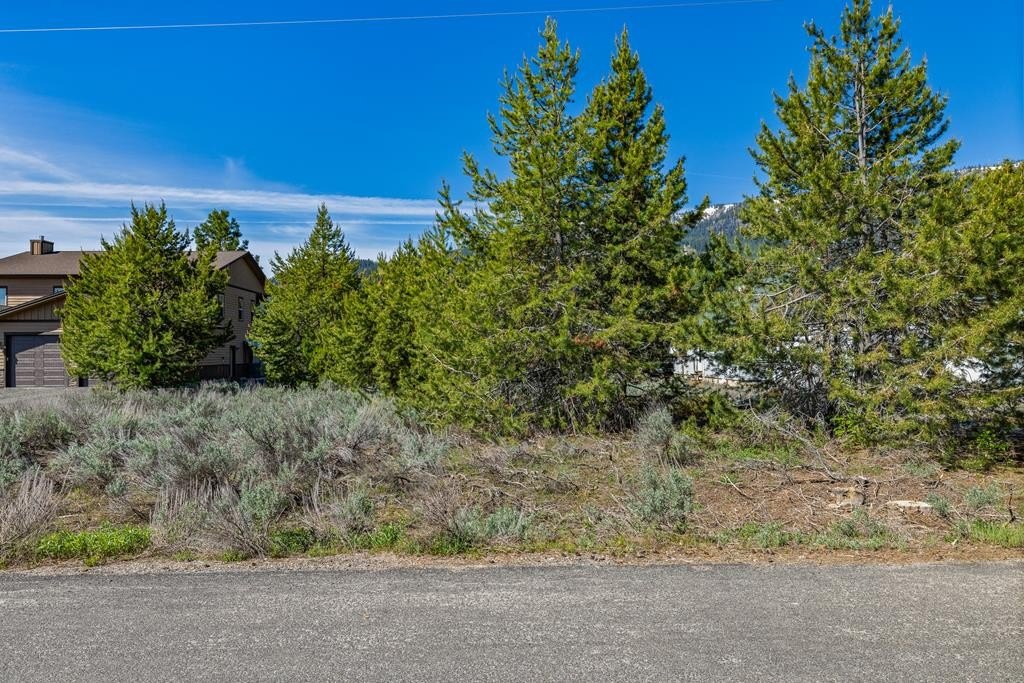 Donnelly, Idaho, 83615, United States, ,Land,Forsale,1889416