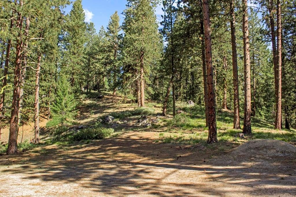 Cascade, Idaho, 83611, United States, 3 Bedrooms Bedrooms, ,2.5 BathroomsBathrooms,Residential,Forsale,1889403