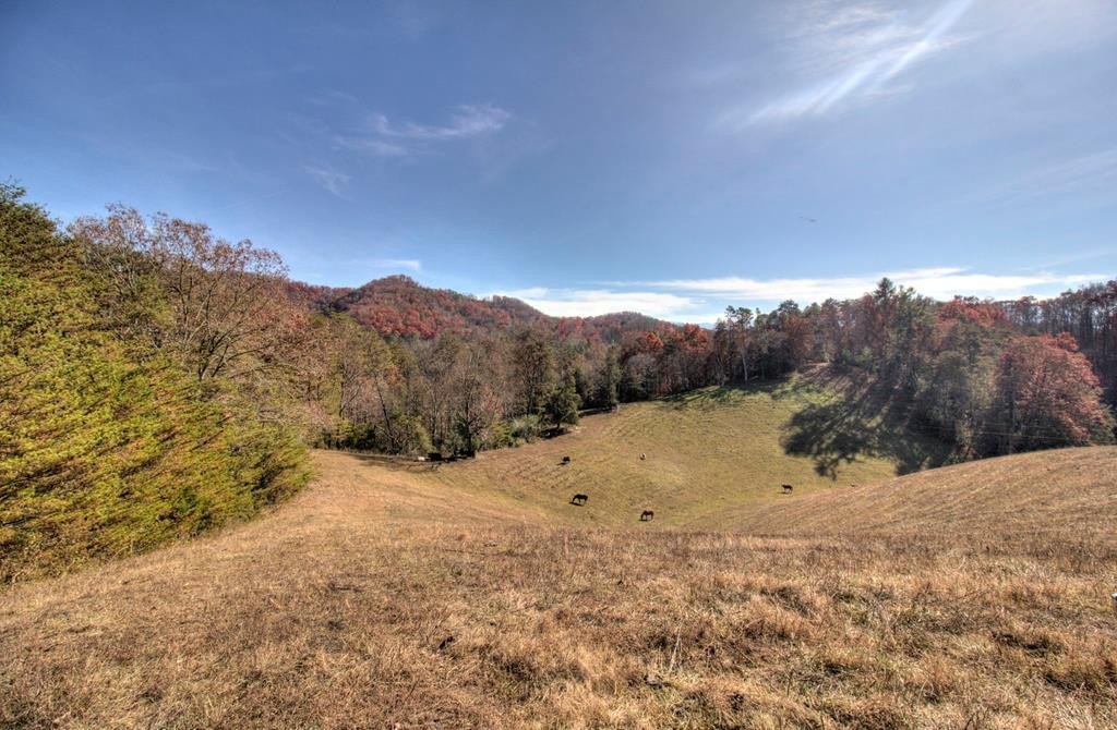 Sevierville, Tennessee, 37876, United States, ,Land,Forsale,1893796