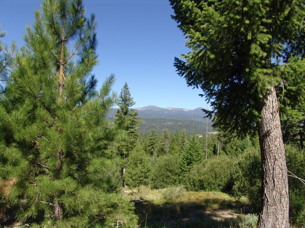 Cascade, Idaho, 83611, United States, ,Land,Forsale,1996719