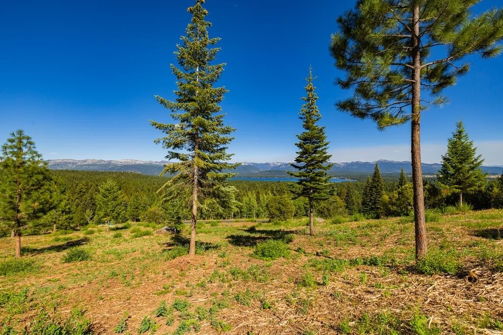 McCall, Idaho, 83638, United States, ,Land,Forsale,1946145