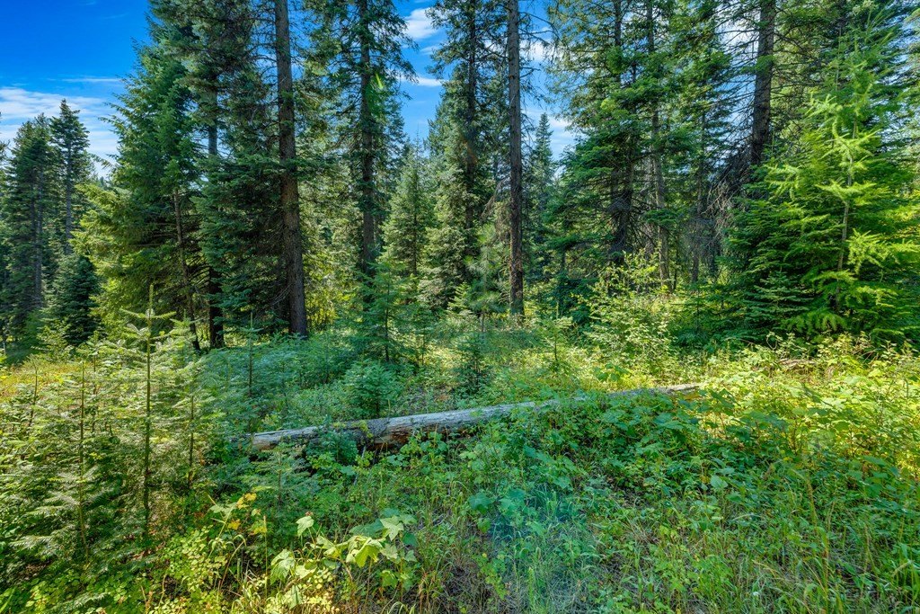 Donnelly, Idaho, 83615, United States, ,Land,Forsale,1996711