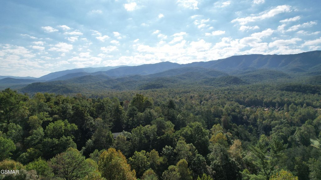 Gatlinburg, Tennessee, 37738, United States, 3 Bedrooms Bedrooms, ,3 BathroomsBathrooms,Residential,Forsale,1899765