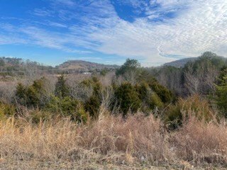 Sevierville, Tennessee, 37764, United States, ,Commercial,Forsale,1893795
