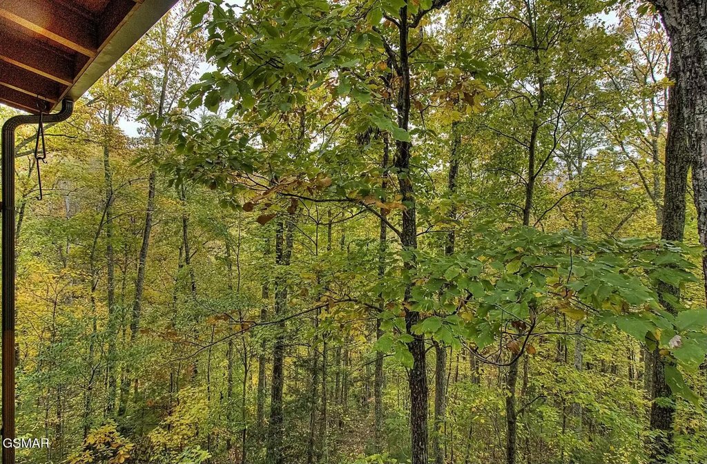 Sevierville, Tennessee, 37862, United States, 2 Bedrooms Bedrooms, ,2 BathroomsBathrooms,Residential,Forsale,1893745