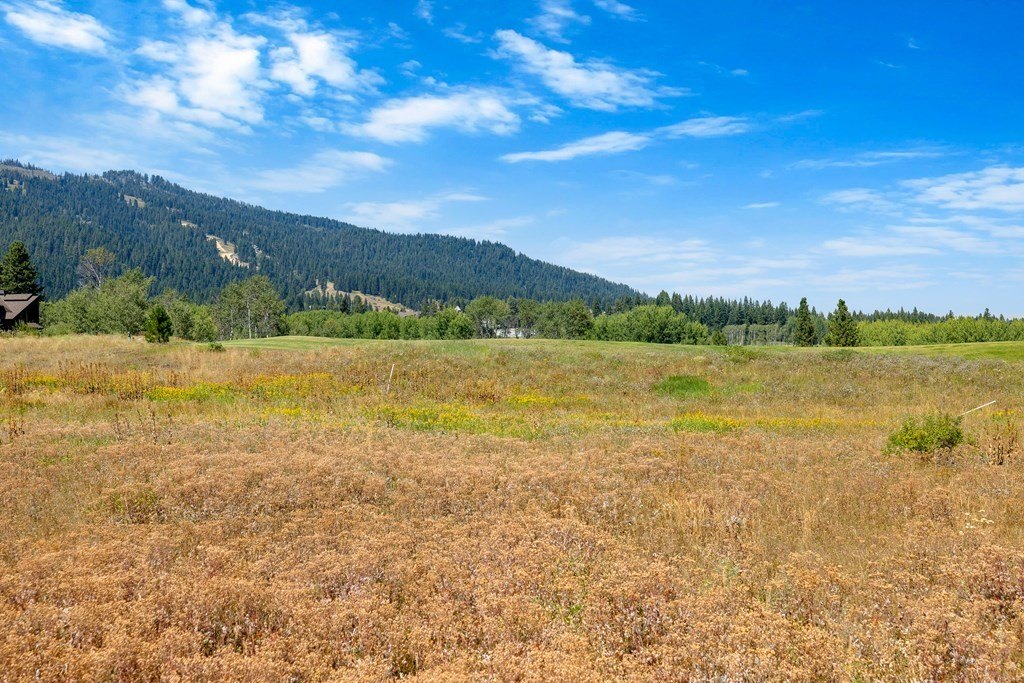 Donnelly, Idaho, 83615, United States, ,Land,Forsale,1996712