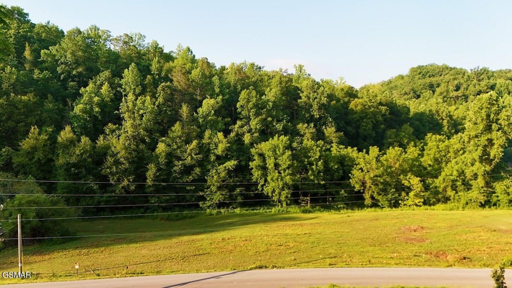 Sevierville, Tennessee, 37876, United States, 3 Bedrooms Bedrooms, ,3 BathroomsBathrooms,Residential,Forsale,1910186