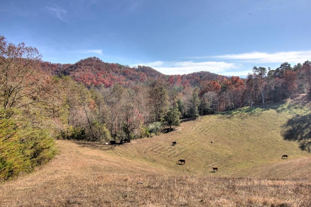 Sevierville, Tennessee, 37876, United States, ,Land,Forsale,1893796