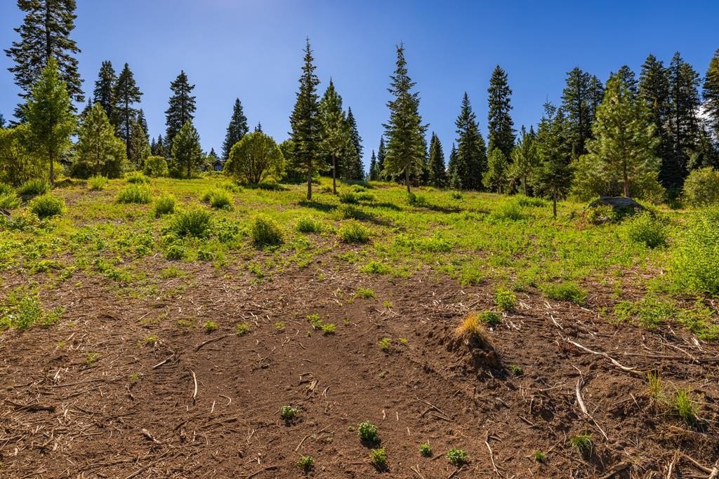 McCall, Idaho, 83638, United States, ,Land,Forsale,1946145