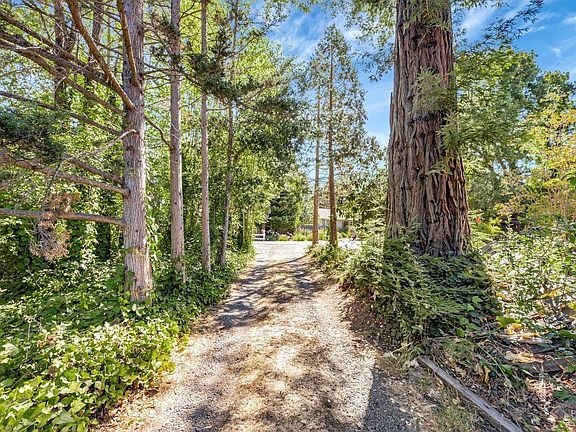 Sebastopol, California, 95472, United States, 2 Bedrooms Bedrooms, ,1 BathroomBathrooms,Residential,Forsale,1934065