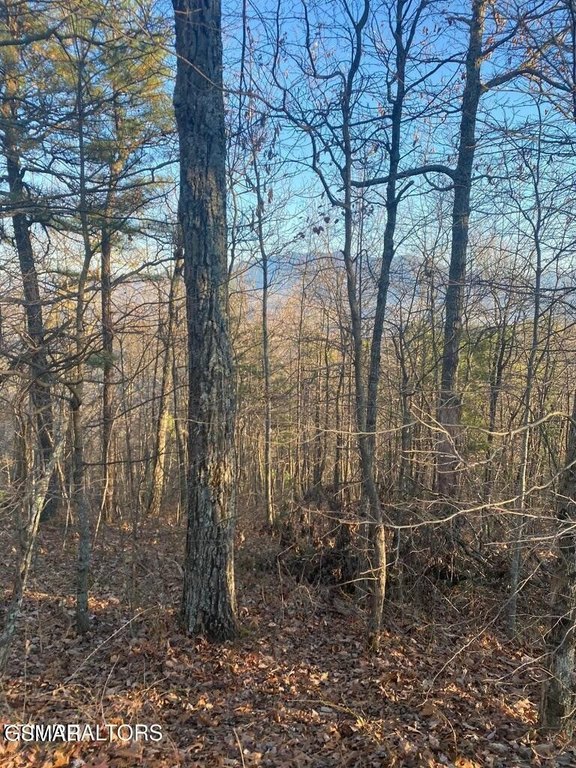 Gatlinburg, Tennessee, 37738, United States, 3 Bedrooms Bedrooms, ,3 BathroomsBathrooms,Residential,Forsale,1942462