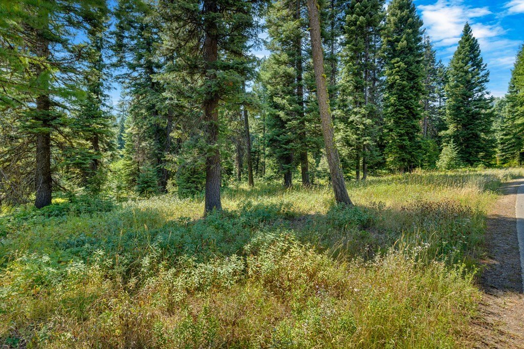Donnelly, Idaho, 83615, United States, ,Land,Forsale,1996711