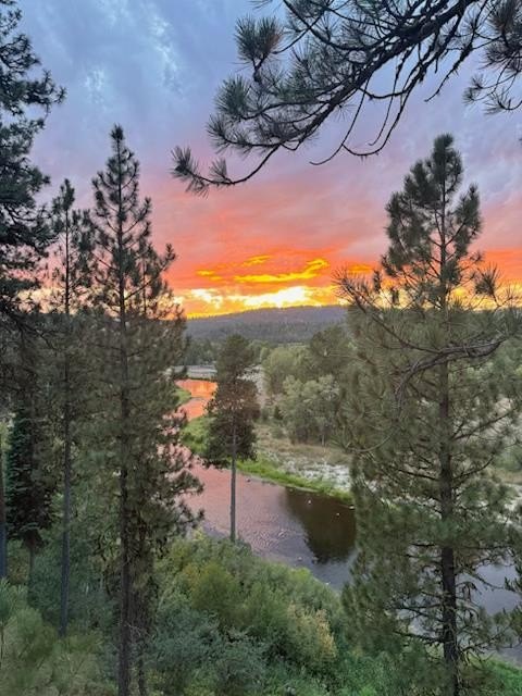 McCall, Idaho, 83638, United States, 3 Bedrooms Bedrooms, ,3 BathroomsBathrooms,Residential,Forsale,1946176