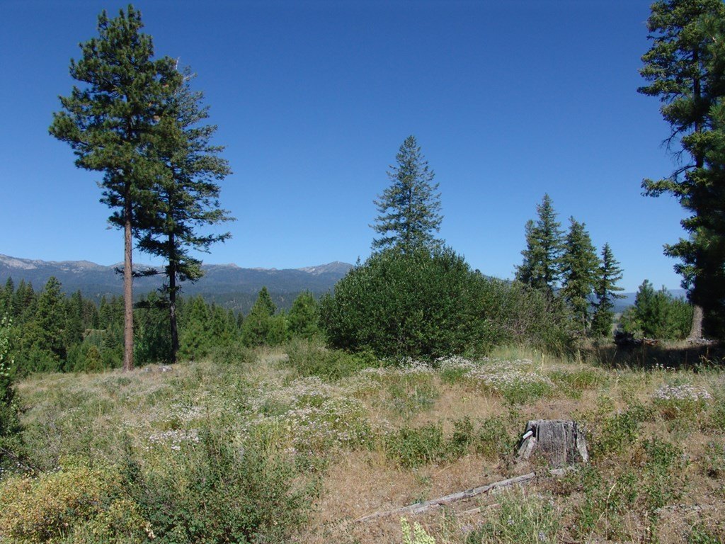 Cascade, Idaho, 83611, United States, ,Land,Forsale,1996719