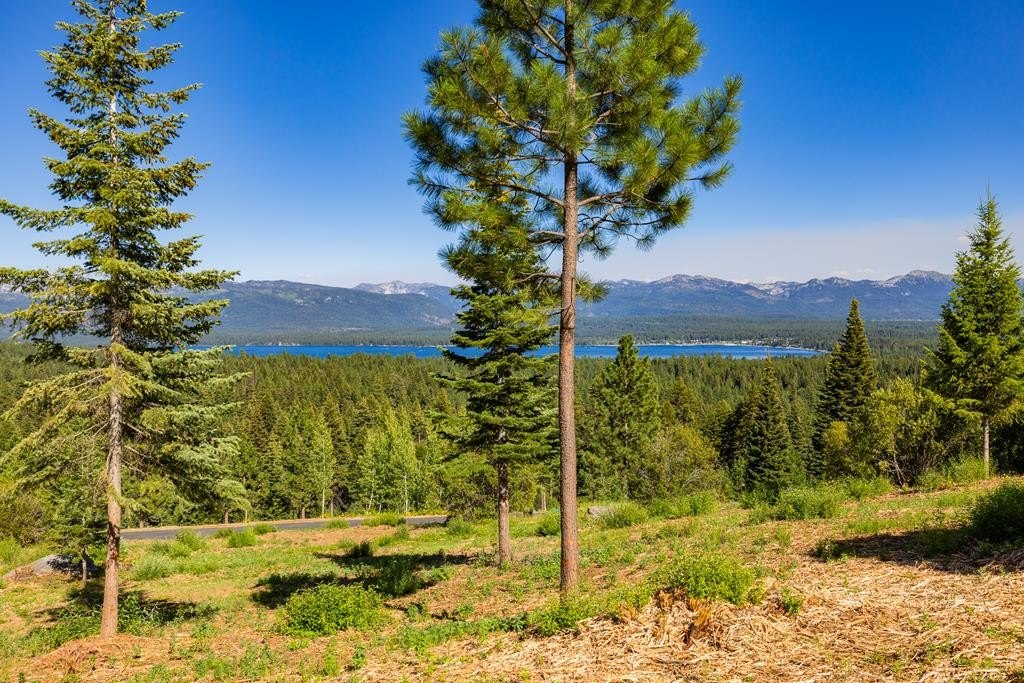 McCall, Idaho, 83638, United States, ,Land,Forsale,1946145