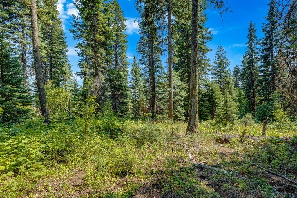 Donnelly, Idaho, 83615, United States, ,Land,Forsale,1996711