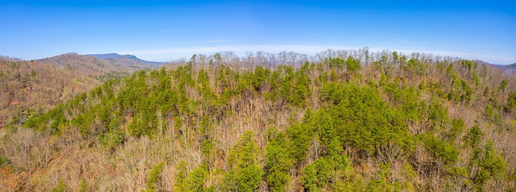 Pigeon Forge, Tennessee, 37863, United States, ,Commercial,Forsale,1893778