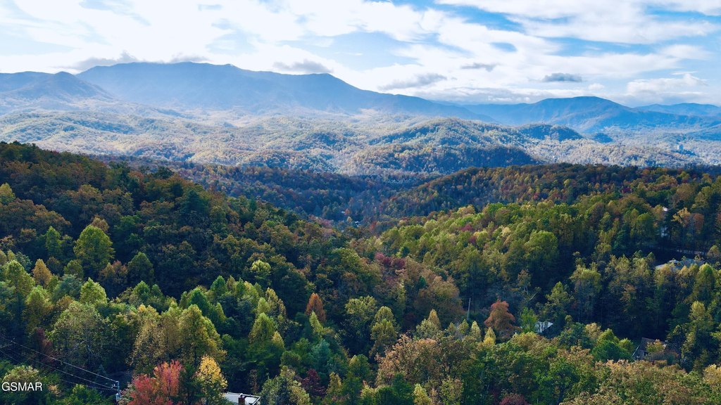 Gatlinburg, Tennessee, 37738, United States, 2 Bedrooms Bedrooms, ,3 BathroomsBathrooms,Residential,Forsale,1893779