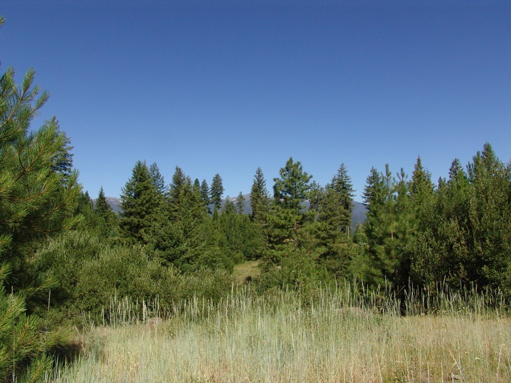 Cascade, Idaho, 83611, United States, ,Land,Forsale,1996719