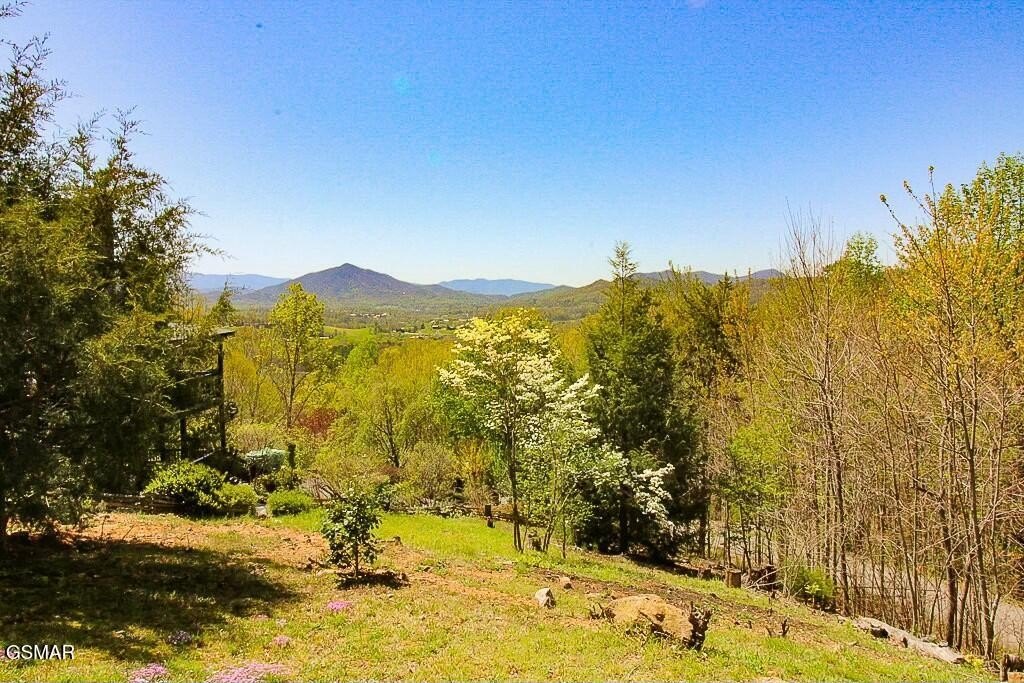 Sevierville, Tennessee, 37862, United States, 3 Bedrooms Bedrooms, ,3 BathroomsBathrooms,Residential,Forsale,1893748