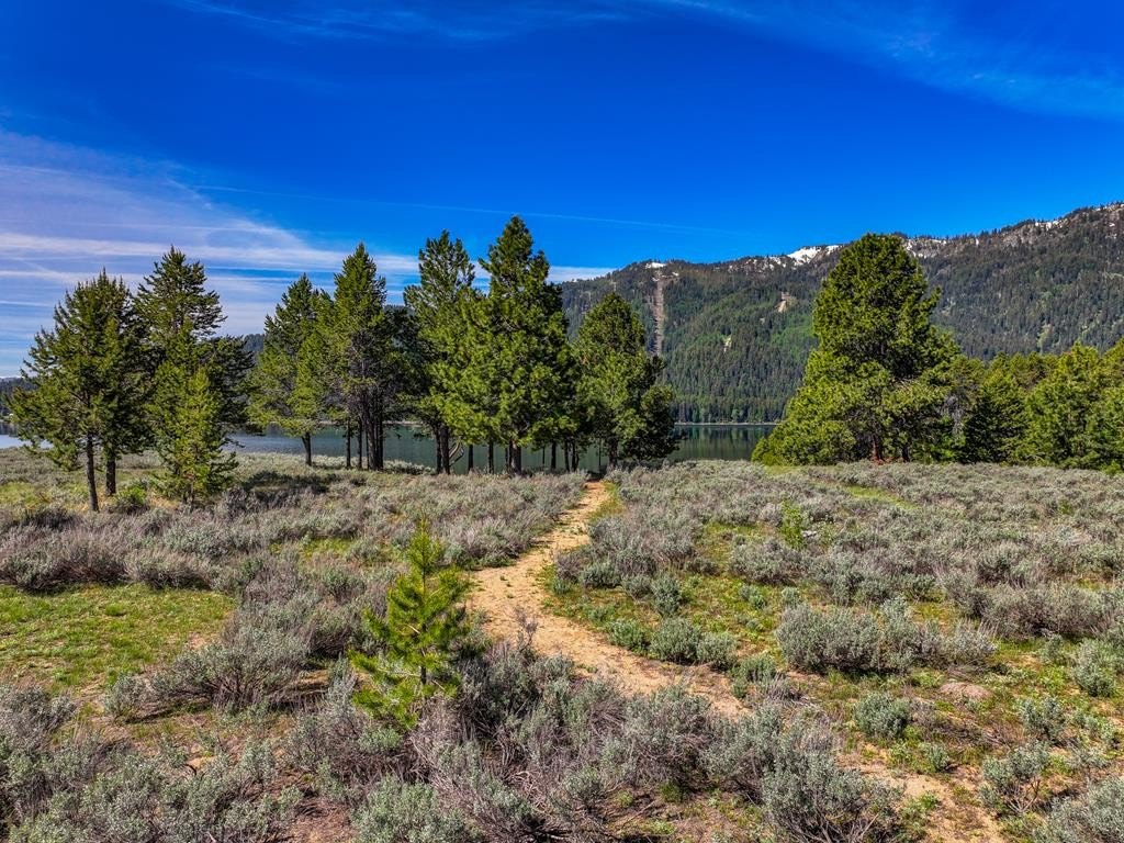 Donnelly, Idaho, 83615, United States, ,Land,Forsale,1889416