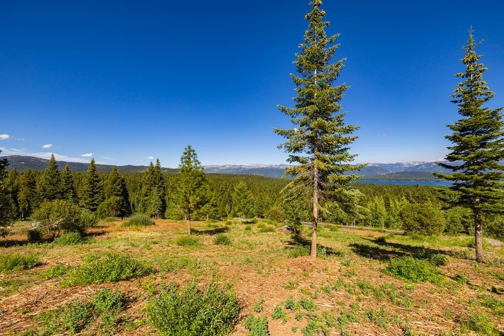 McCall, Idaho, 83638, United States, ,Land,Forsale,1946145
