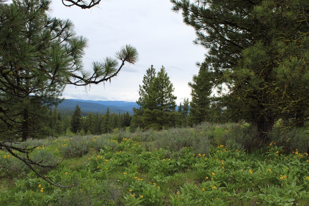 New Meadows, Idaho, 83654, United States, 1 Bedroom Bedrooms, ,1 BathroomBathrooms,Residential,Forsale,1889393
