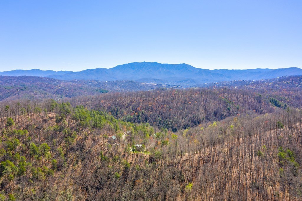 Pigeon Forge, Tennessee, 37863, United States, ,Commercial,Forsale,1893778