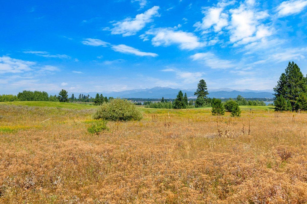 Donnelly, Idaho, 83615, United States, ,Land,Forsale,1996712