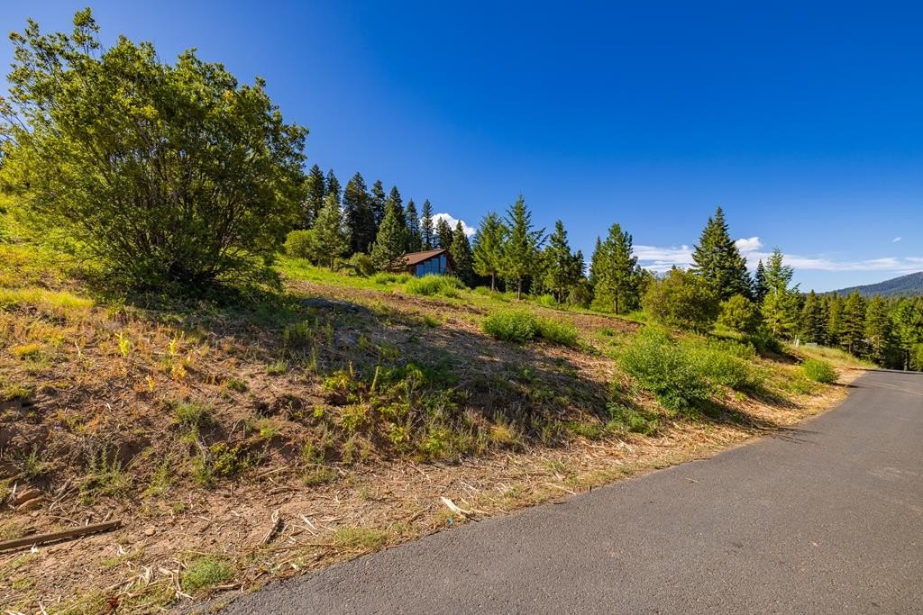 McCall, Idaho, 83638, United States, ,Land,Forsale,1946145