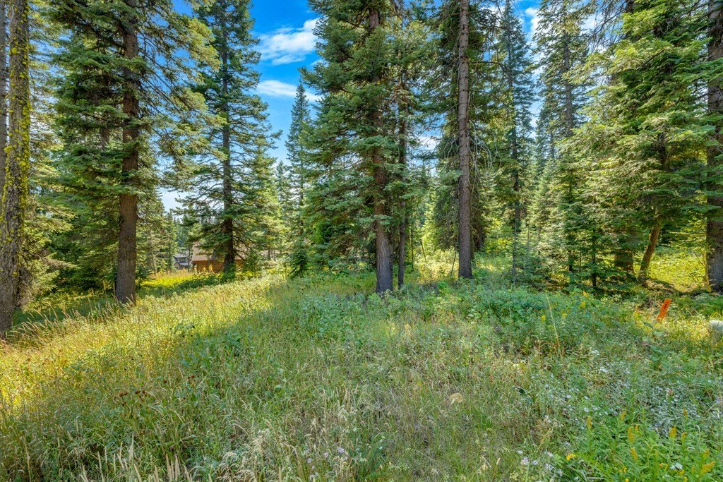 Donnelly, Idaho, 83615, United States, ,Land,Forsale,1996711