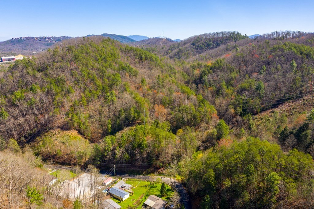 Pigeon Forge, Tennessee, 37863, United States, ,Commercial,Forsale,1893778