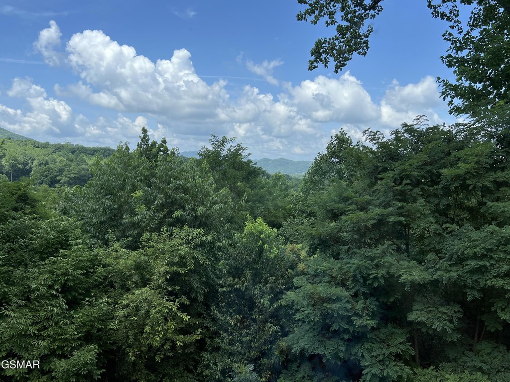 Sevierville, Tennessee, 37862, United States, 3 Bedrooms Bedrooms, ,3 BathroomsBathrooms,Residential,Forsale,1910187