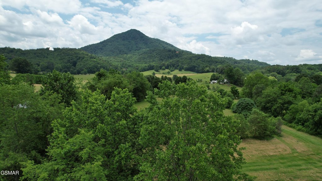 Sevierville, Tennessee, 37862, United States, ,Commercial,Forsale,1910217