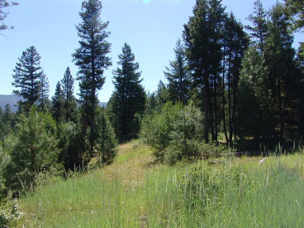 Cascade, Idaho, 83611, United States, ,Land,Forsale,1996719