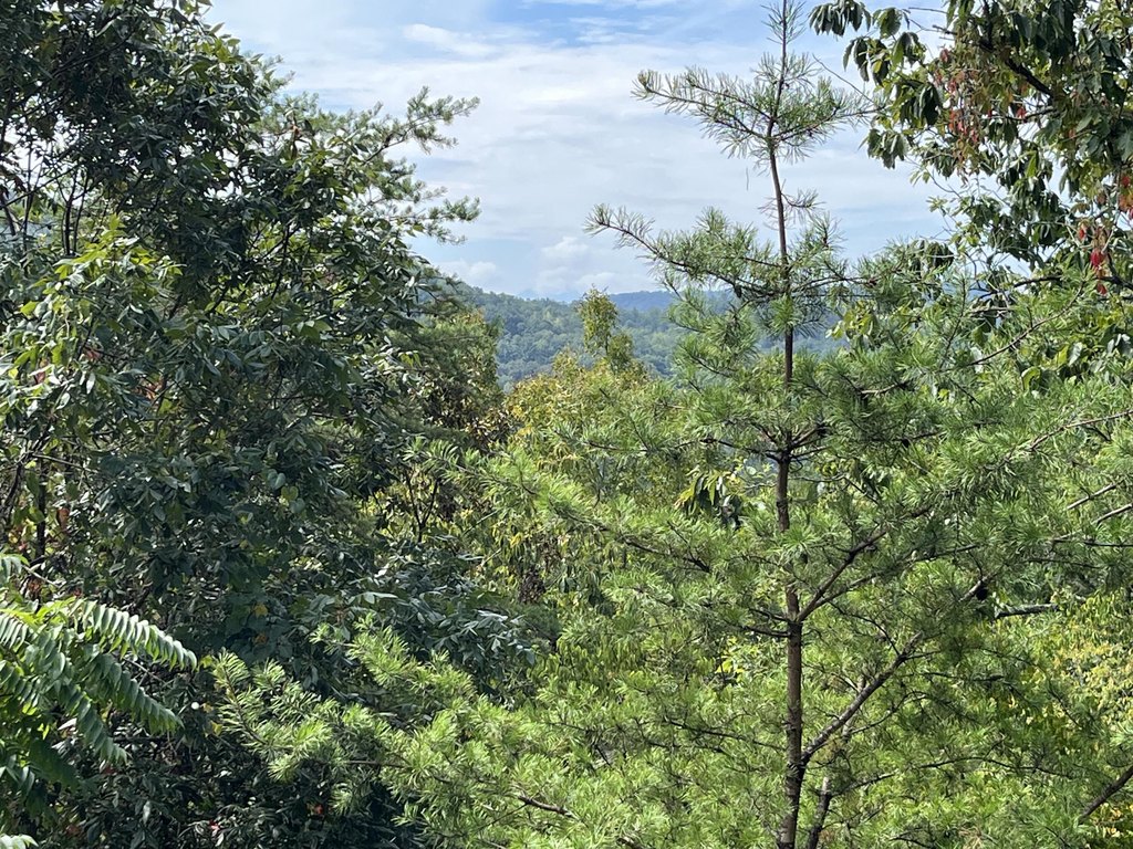 Sevierville, Tennessee, 37862, United States, 2 Bedrooms Bedrooms, ,2 BathroomsBathrooms,Residential,Forsale,1942448