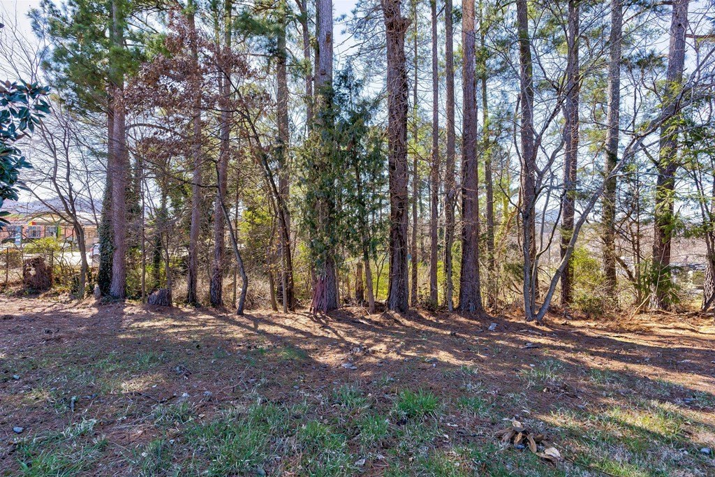 Pigeon Forge, Tennessee, 37863, United States, ,Commercial,Forsale,1893700