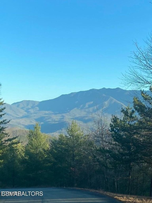 Gatlinburg, Tennessee, 37738, United States, 3 Bedrooms Bedrooms, ,3 BathroomsBathrooms,Residential,Forsale,1942462