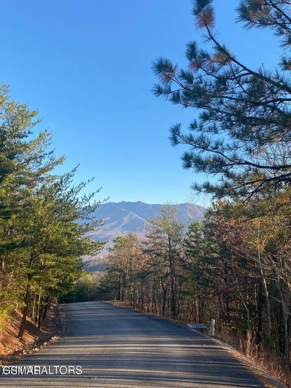 Gatlinburg, Tennessee, 37738, United States, 3 Bedrooms Bedrooms, ,3 BathroomsBathrooms,Residential,Forsale,1942462