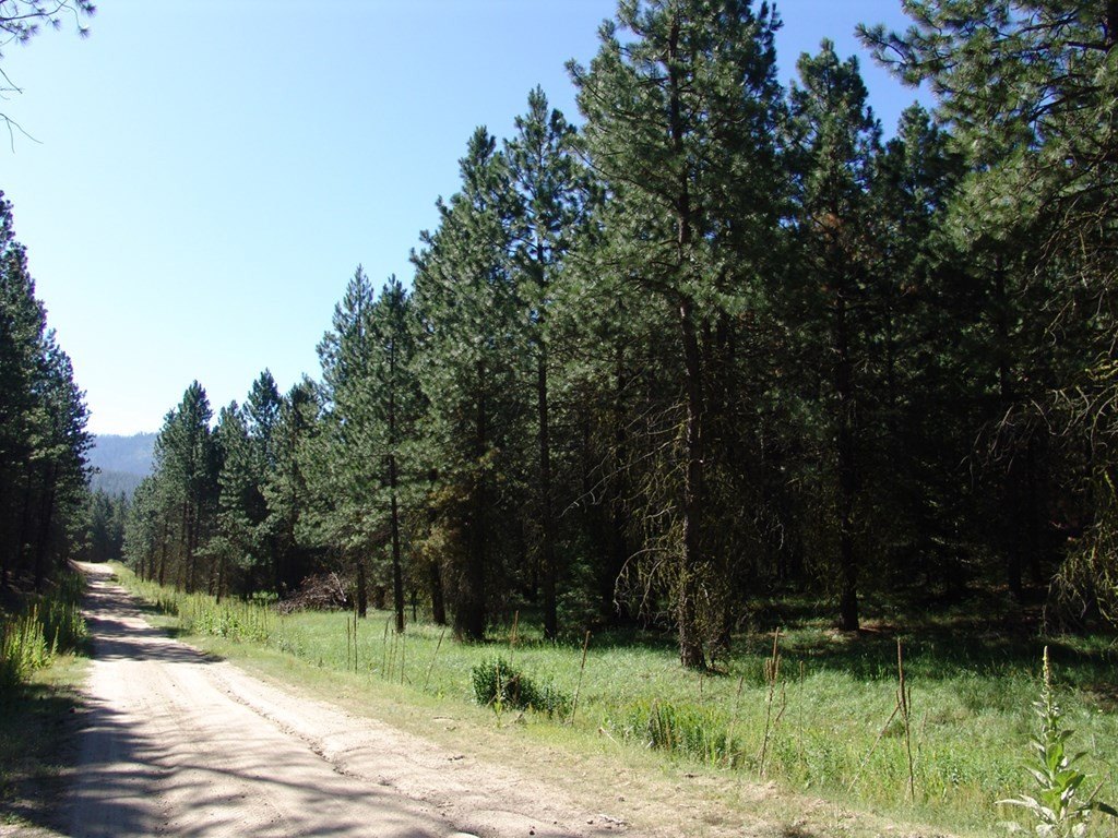 Cascade, Idaho, 83611, United States, ,Land,Forsale,1996719