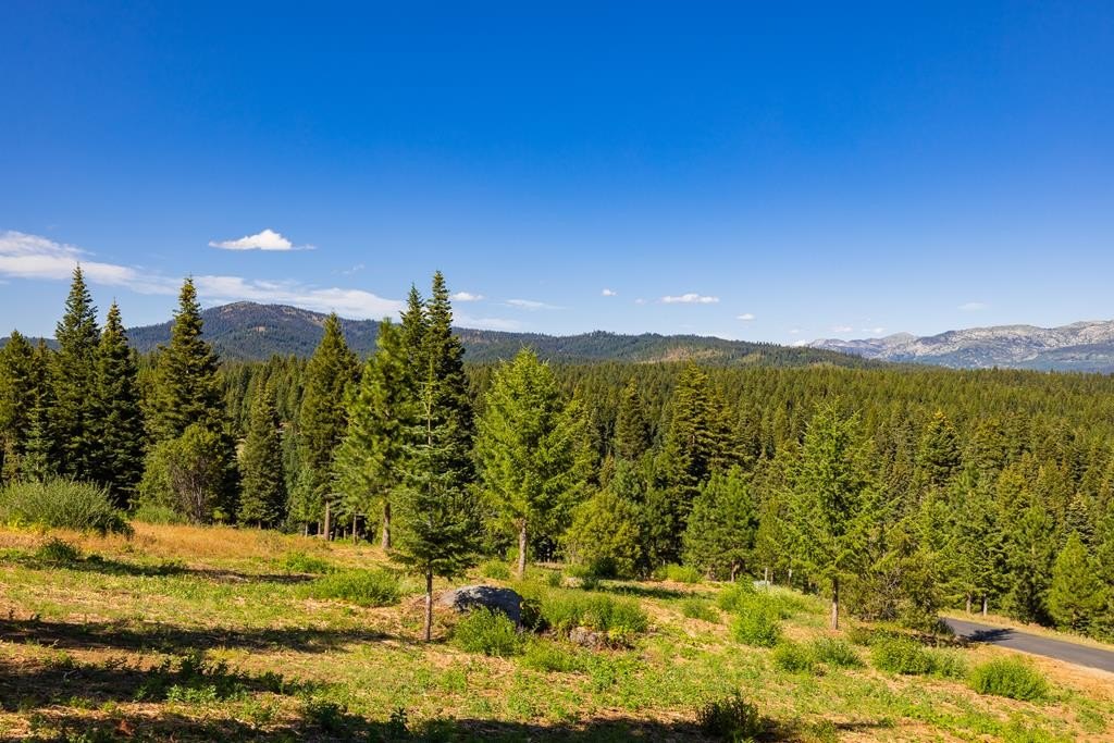 McCall, Idaho, 83638, United States, ,Land,Forsale,1946145