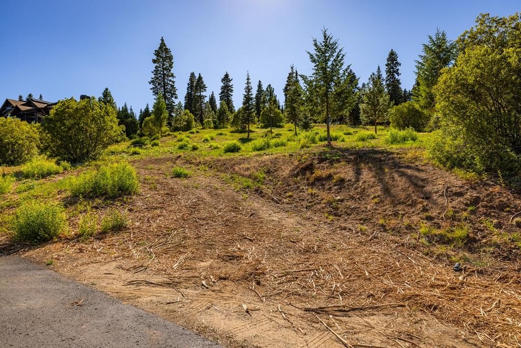 McCall, Idaho, 83638, United States, ,Land,Forsale,1946145
