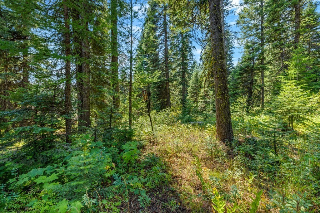 Donnelly, Idaho, 83615, United States, ,Land,Forsale,1996711