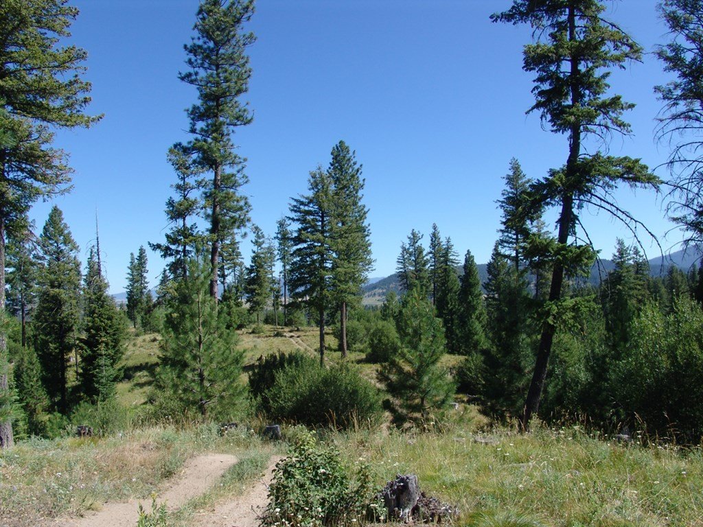 Cascade, Idaho, 83611, United States, ,Land,Forsale,1996719