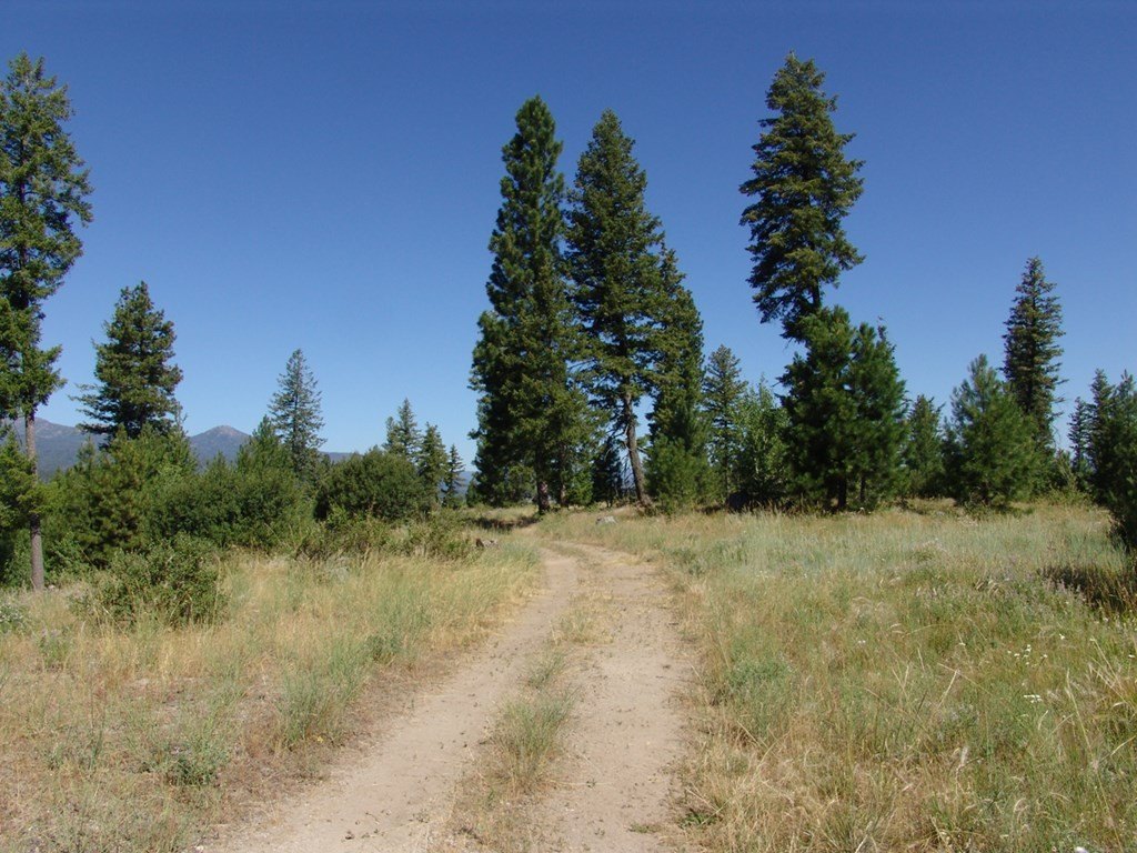 Cascade, Idaho, 83611, United States, ,Land,Forsale,1996719