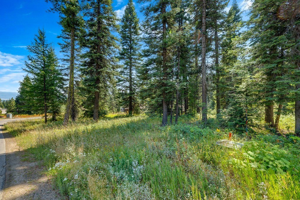 Donnelly, Idaho, 83615, United States, ,Land,Forsale,1996711